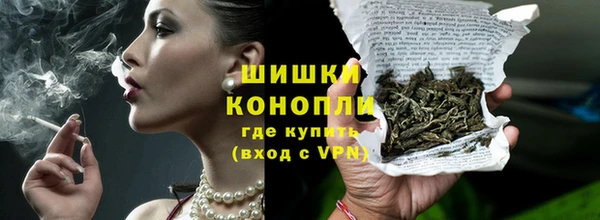 гидра Абаза