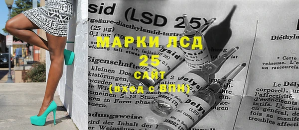гидра Абаза
