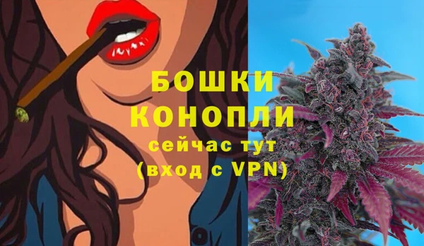 PSILOCYBIN Абдулино