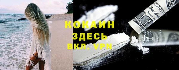 spice Алексин