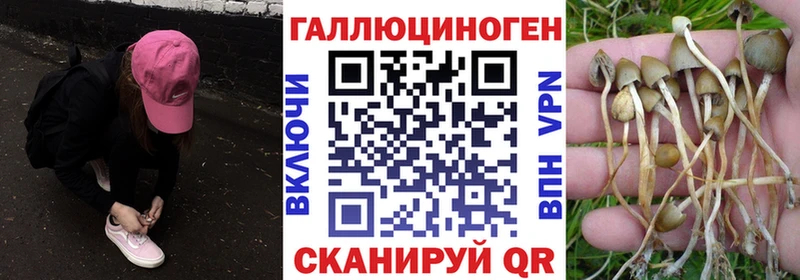 Галлюциногенные грибы Cubensis мега маркетплейс Элиста