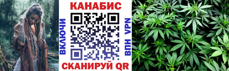 кракен как зайти  Элиста  Бошки марихуана планчик 